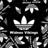 Widnes-adi-stripes-display Widnes adi stripes supporters stickers